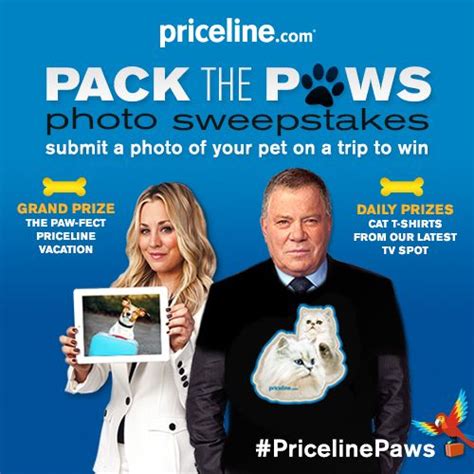 In a lot of ways, a pet like a cat or a dog is very much like a child because responsible owners care for their pets and make su. . Priceline pet friendly